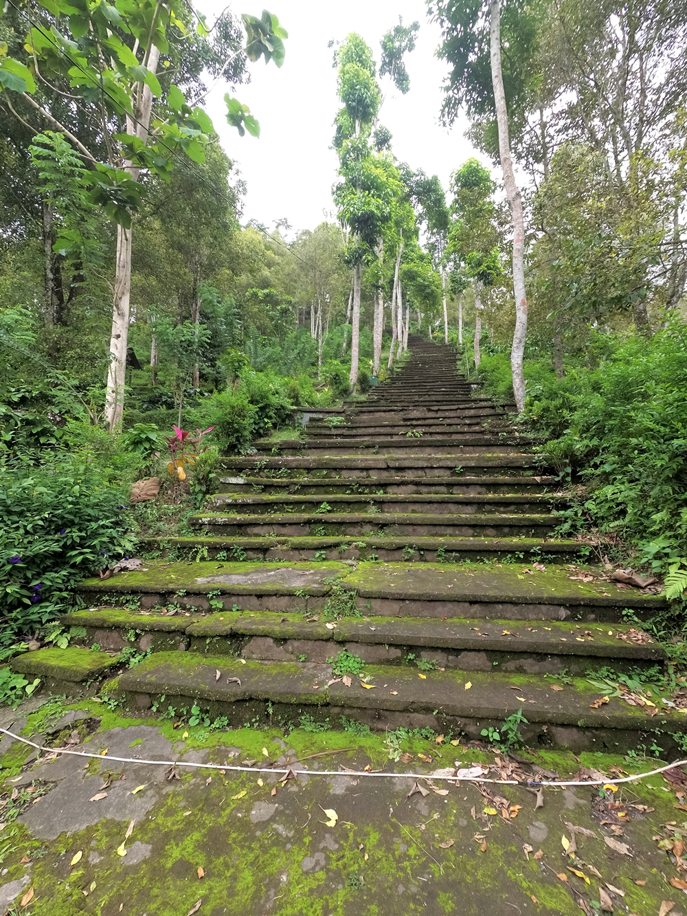 Steps to temple near Griya Valud, Sideman