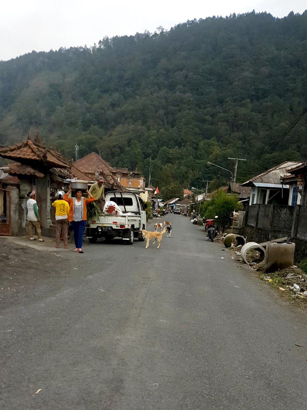 Road near Mount Batur